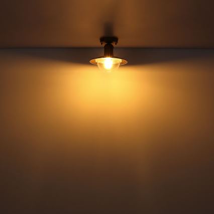 Globo - Plafonnier d'extérieur 1xE27/15W/230V IP44 rouille