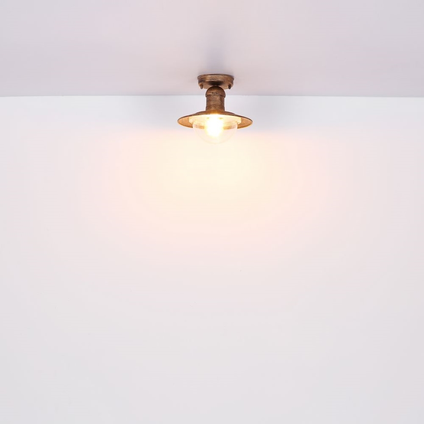 Globo - Plafonnier d'extérieur 1xE27/15W/230V IP44 rouille