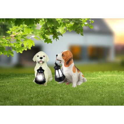 Globo - Luminaire solaire LED 0,06 W / 3 V, motif chien, IP44, 600 mAh