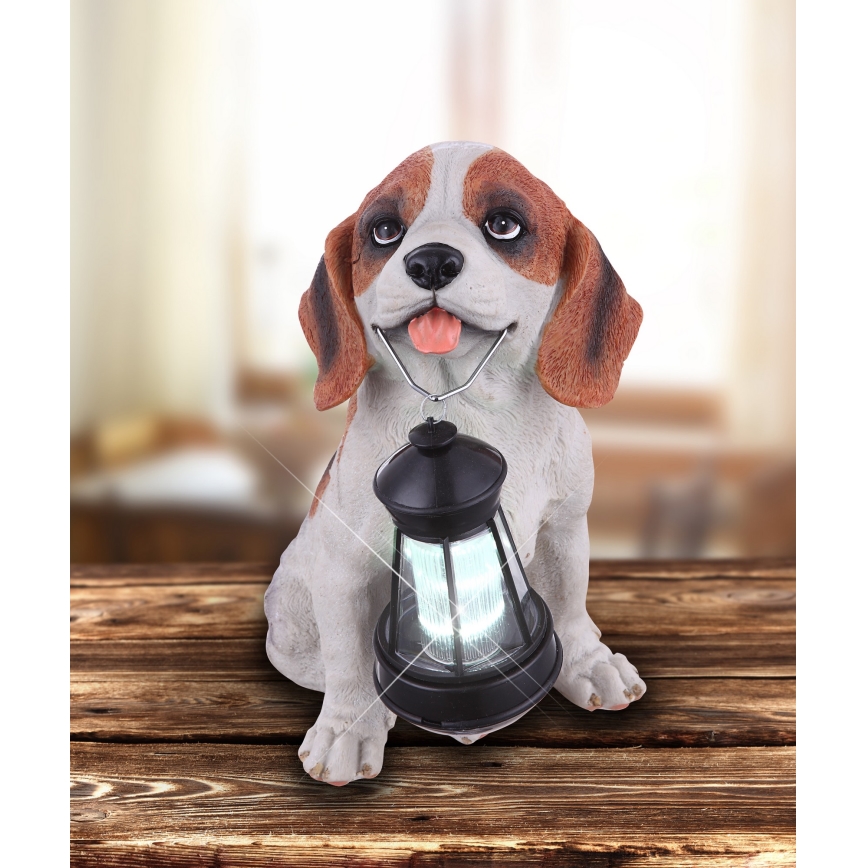 Globo - Éclairage solaire LED/0,06W/3V IP44 600 mAh