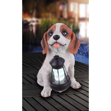 Globo - Éclairage solaire LED/0,06W/3V IP44 600 mAh