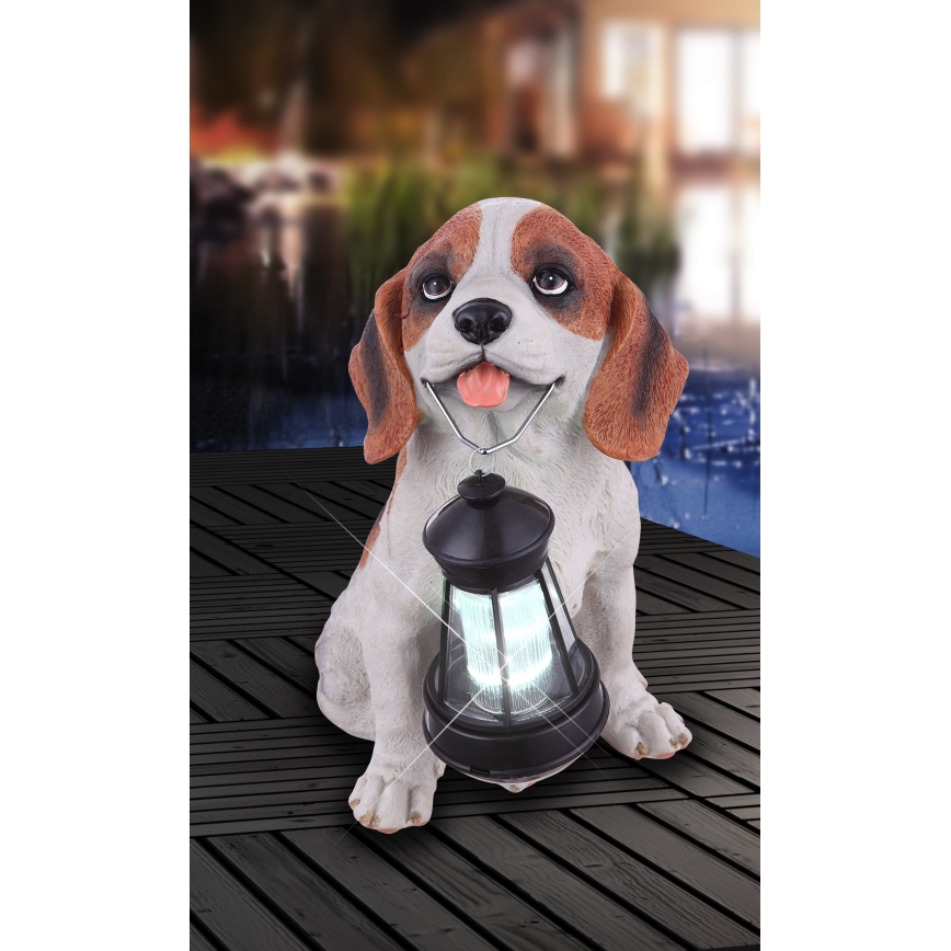 Globo - Éclairage solaire LED/0,06W/3V IP44 600 mAh