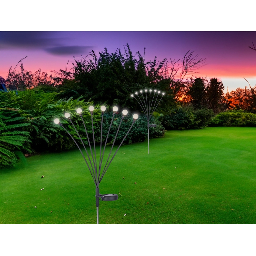 Globo - Éclairage solaire 8xLED/0,06W/3,2V 3000K IP44 300 mAh