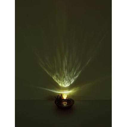 Globo - Éclairage solaire LED/0,06W/3V IP44 bain pour oiseau