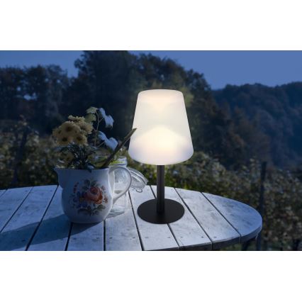 Globo 33894 - Lampe de table solaire RGB LED/0,1W/3V IP44