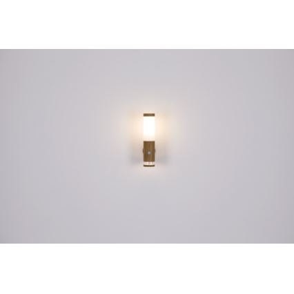 Globo - Applique murale d'extérieur 1xE27/15W/230V IP44