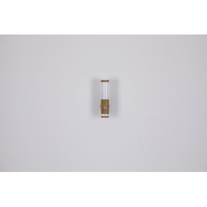 Globo - Applique murale d'extérieur 1xE27/15W/230V IP44
