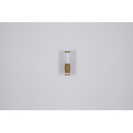 Globo - Applique murale d'extérieur avec détecteur 1xE27/15W/230V IP44