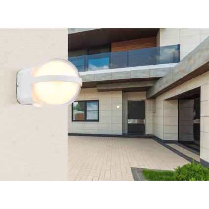 Globo - Applique murale extérieure LED/12W/230V IP54 blanc