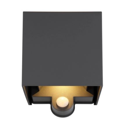 Globo - Applique murale extérieure LED avec détecteur 2xLED/3W/230V IP54