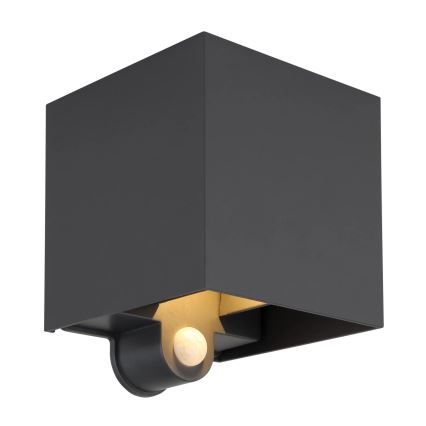 Globo - Applique murale extérieure LED avec détecteur 2xLED/3W/230V IP54