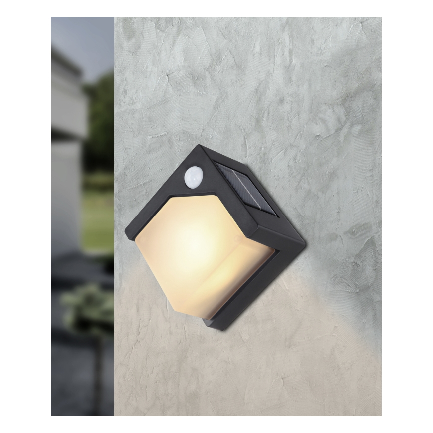 Globo - Éclairage solaire avec détecteur LED/0,48W/3V IP44 600 mAh