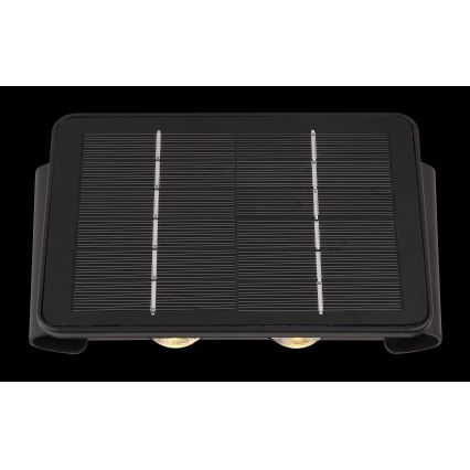 Globo - Éclairage solaire LED/1W/3,2V 3000K IP54