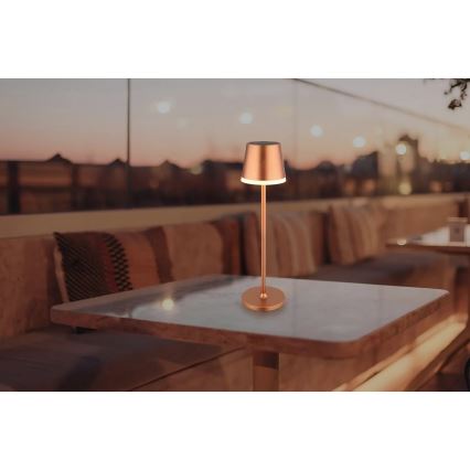 Globo - Lampe solaire LED/0,6W/3V 3000K IP44 cuivre