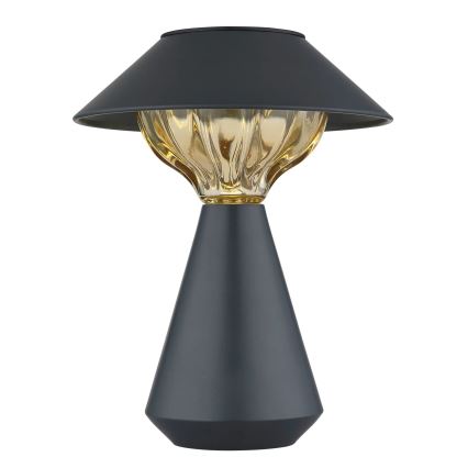 Globo - Lampe solaire 10xLED/0,06W/1,2V IP44 noir