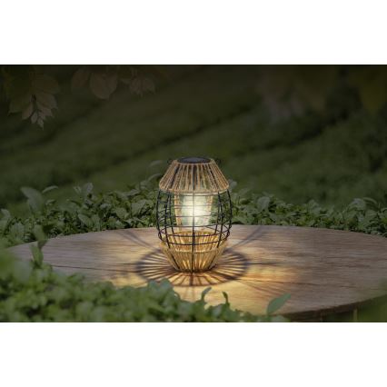 Globo - Éclairage solaire LED/2W/3V IP44 600 mAh