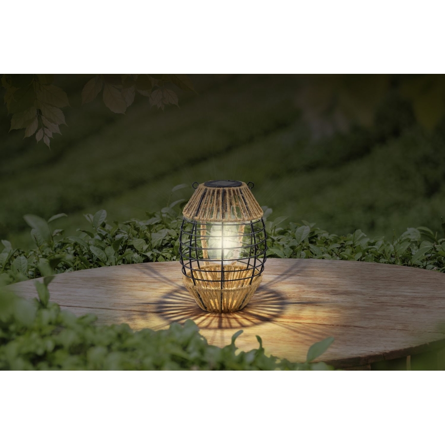 Globo - Éclairage solaire LED/2W/3V IP44 600 mAh