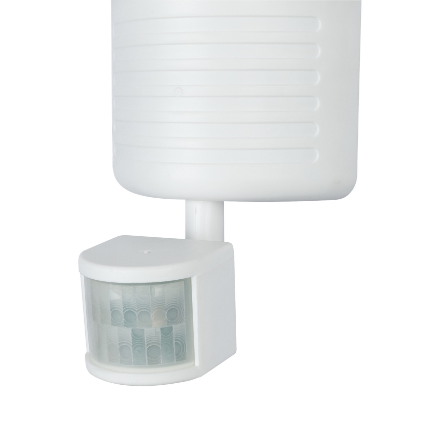 Globo - Réflecteur LED avec détecteur 22xLED/0,06W/4,5V IP44