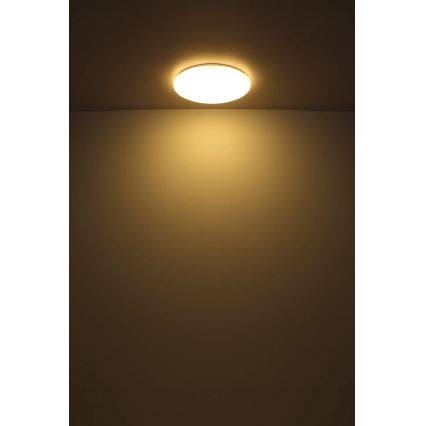 Globo - Plafonnier LED/24W/230V d. 49,5 cm blanc