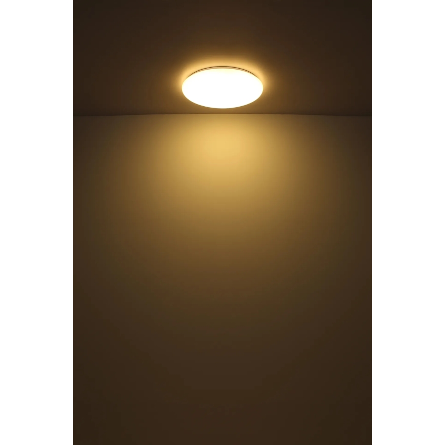 Globo - Plafonnier LED/24W/230V d. 49,5 cm blanc