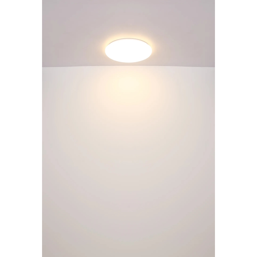 Globo - Plafonnier LED/24W/230V d. 49,5 cm blanc