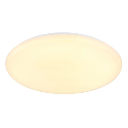 Globo - Plafonnier LED/24W/230V d. 49,5 cm blanc