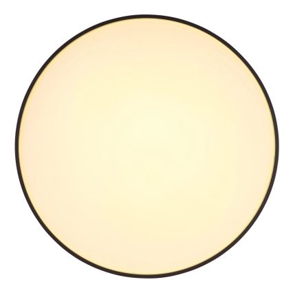 Globo - Plafonnier LED/24W/230V d. 48 cm anthracite