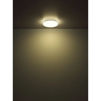 Globo - Plafonnier LED 8W/230V 4000K Ø 22 cm