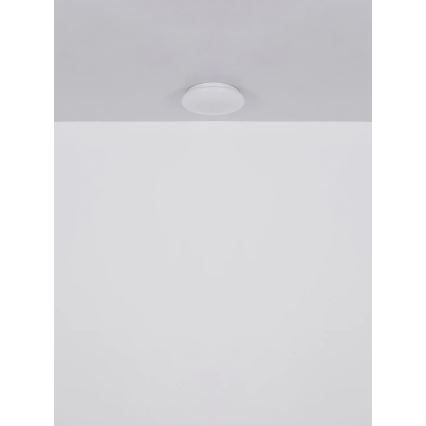 Globo - Plafonnier LED 8W 230V 4000K Ø 55 cm