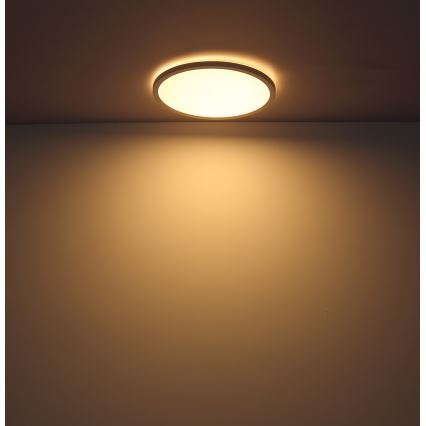 Globo - Plafonnier à intensité variable LED salle de bain LED/18W/230V d. 29,4 cm IP44 blanc