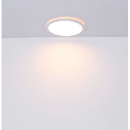 Globo - Plafonnier à intensité variable LED salle de bain LED/18W/230V d. 29,4 cm IP44 blanc