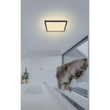 Globo - Plafonnier à intensité variable LED salle de bain LED/18W/230V 29,4x29,4 cm IP44 noir