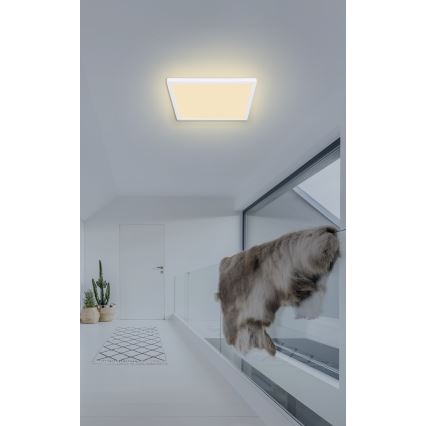 Globo - Plafonnier à intensité variable LED salle de bain LED/18W/230V 29,4x29,4 cm IP44 blanc