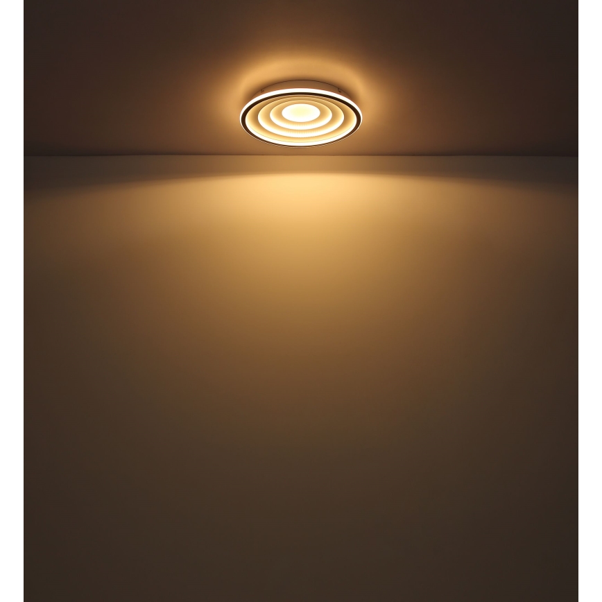 Globo - Plafonnier LED LED/24W/230V
