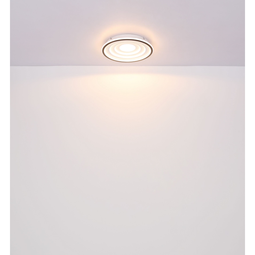 Globo - Plafonnier LED LED/24W/230V