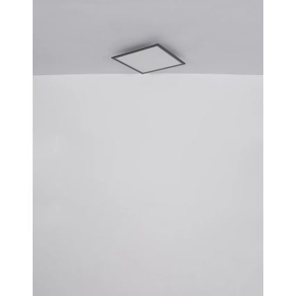 Globo - Plafonnier LED/24W/230V