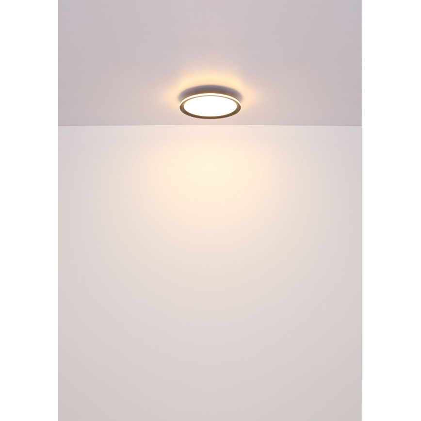 Globo - Plafonnier LED/58W/230V d. 50 cm