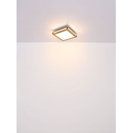 Globo - Plafonnier LED LED/12W/230V 30x30 cm