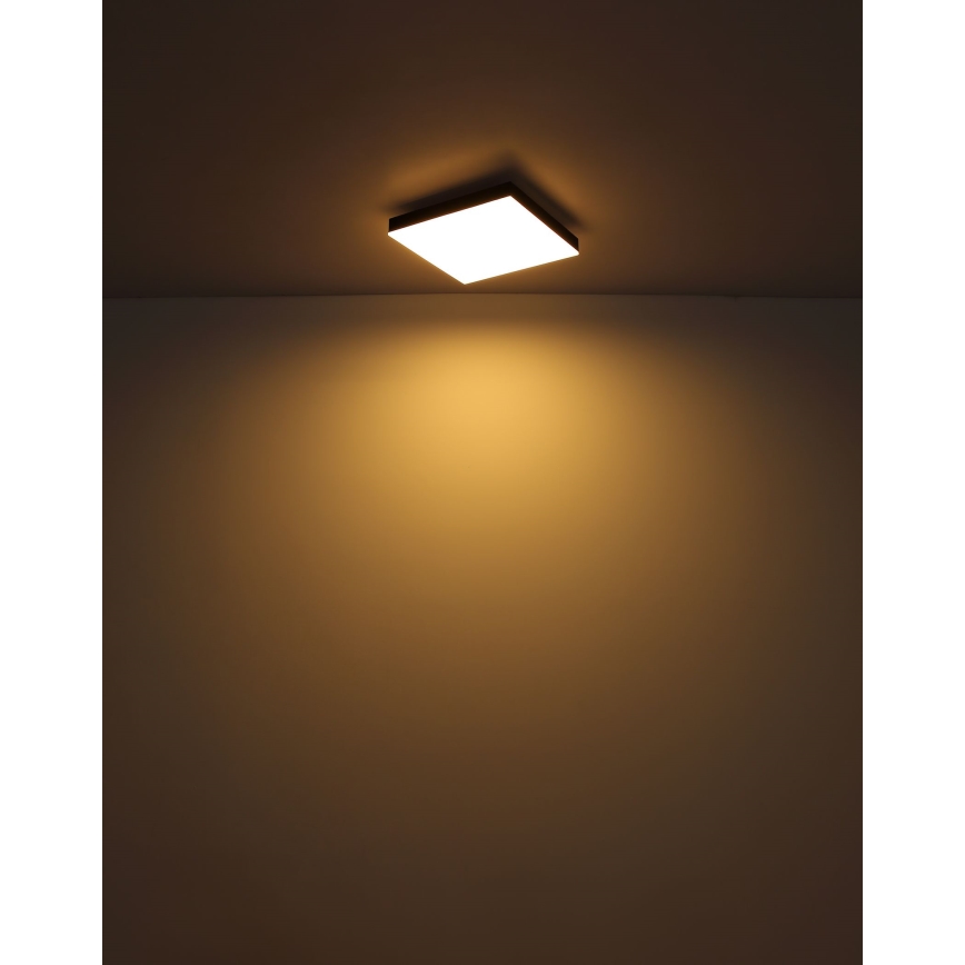 Globo - Plafonnier à intensité variable LED LED/24W/230V 2700-6500K noir + télécommande