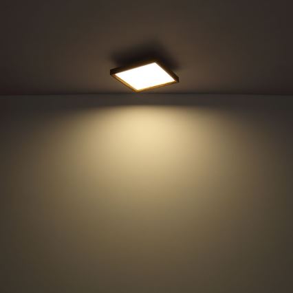 Globo - Plafonnier LED/12W/230V 2700/4500/6500K 30x30 cm