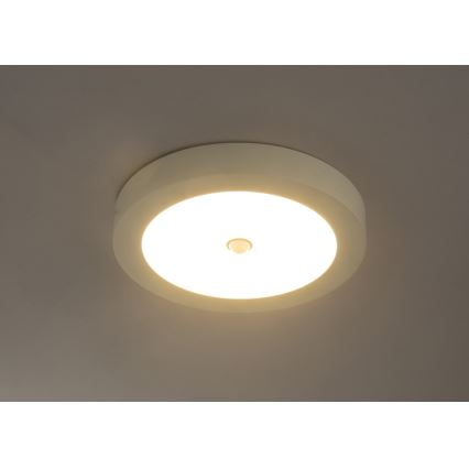 Globo - Plafonnier d'extérieur LED avec détecteur LED/18W/230V IP44