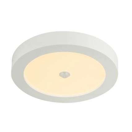 GLOBO - Plafonnier extérieur LED avec détecteur PAULA 1xLED/18W/230V