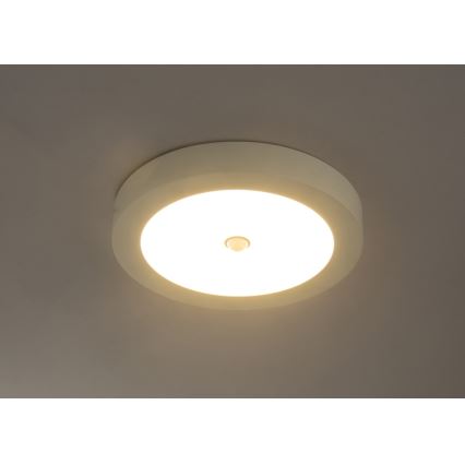 GLOBO - Plafonnier extérieur LED avec détecteur PAULA 1xLED/18W/230V