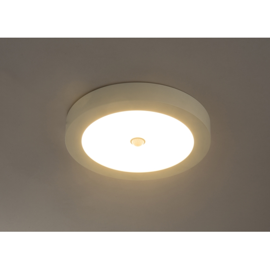 GLOBO - Plafonnier extérieur LED avec détecteur PAULA 1xLED/18W/230V