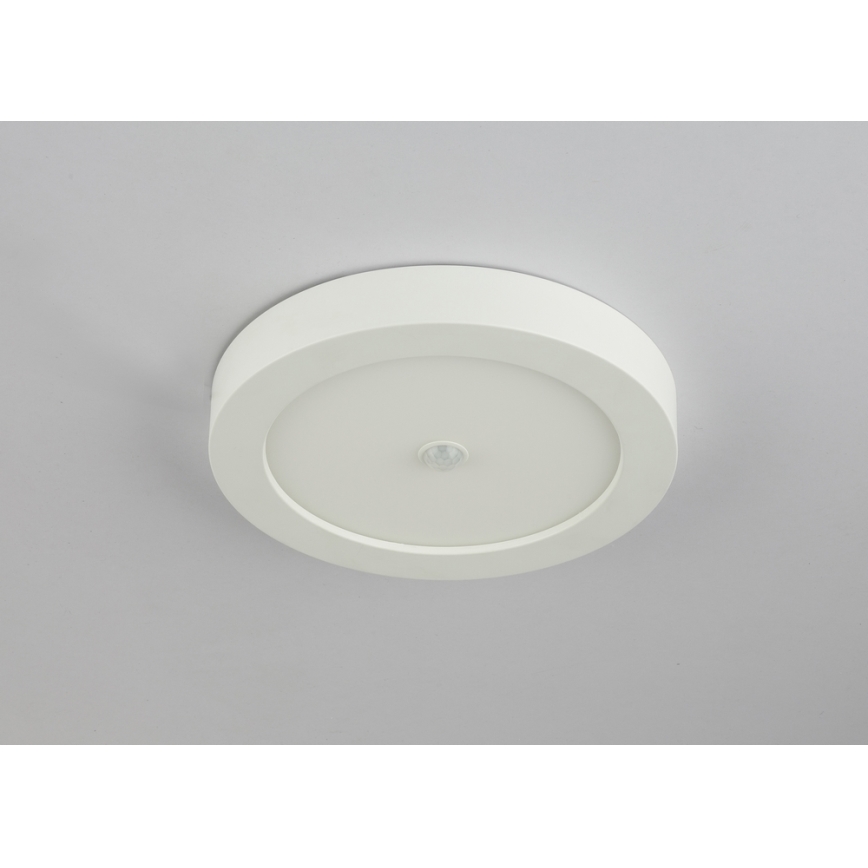 GLOBO - Plafonnier extérieur LED avec détecteur PAULA 1xLED/18W/230V