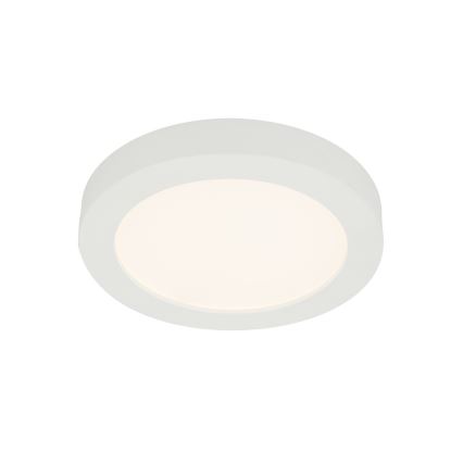 GLOBO 41605-22 - Plafonnier LED salle de bain PAULA 1xLED/22W/230V IP44