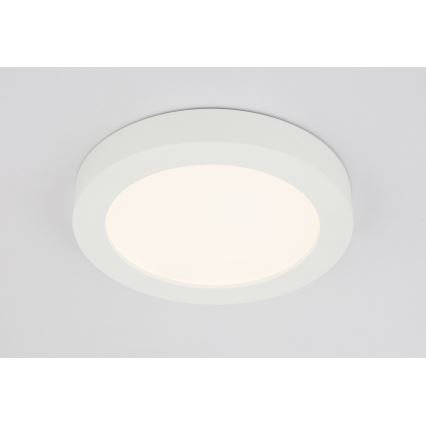 GLOBO 41605-22 - Plafonnier LED salle de bain PAULA 1xLED/22W/230V IP44