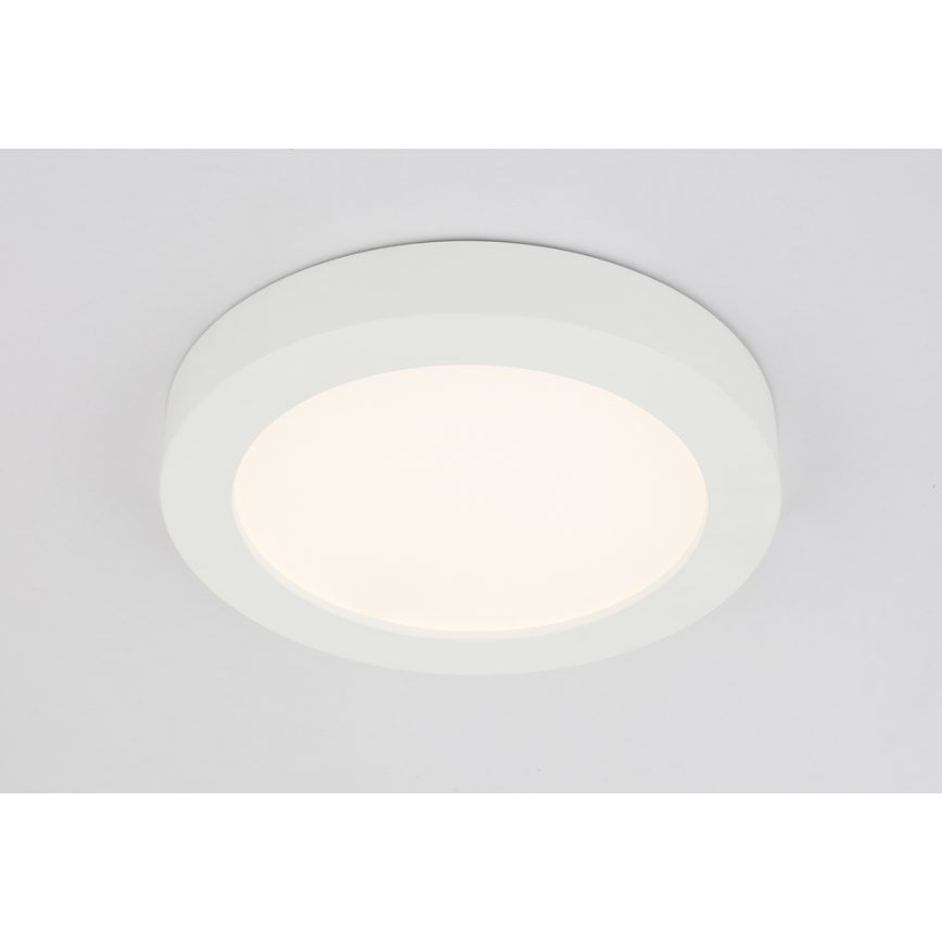 GLOBO 41605-22 - Plafonnier LED salle de bain PAULA 1xLED/22W/230V IP44