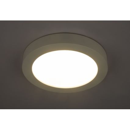 GLOBO 41605-22 - Plafonnier LED salle de bain PAULA 1xLED/22W/230V IP44