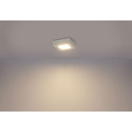 Globo - Plafonnier LED SVENJA LED/9W/230V 3000/4000/6000K